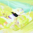 ueternal gardenvANG^LoX^SM